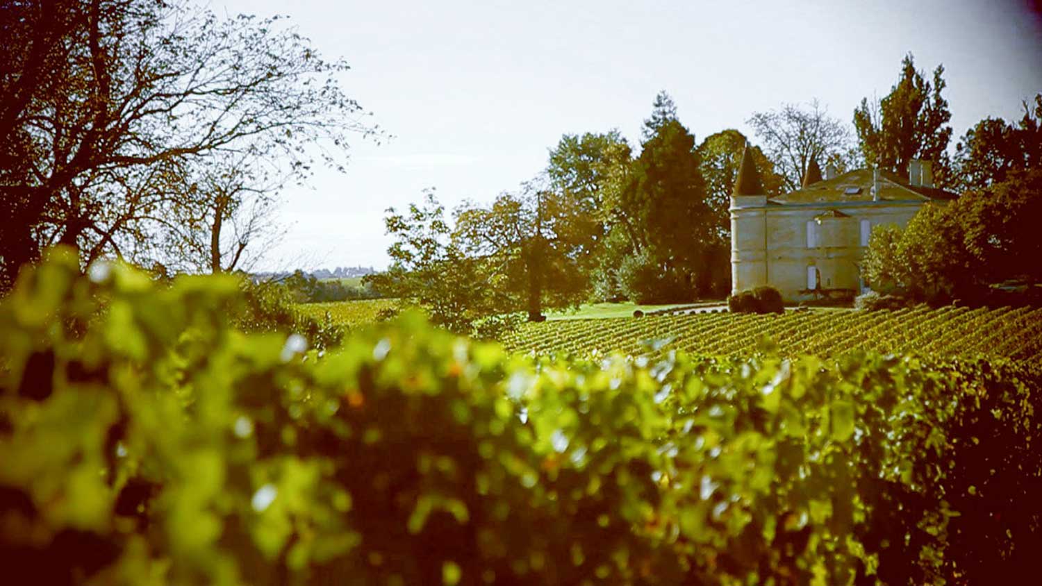 Weinfeld, Weingut Charmail