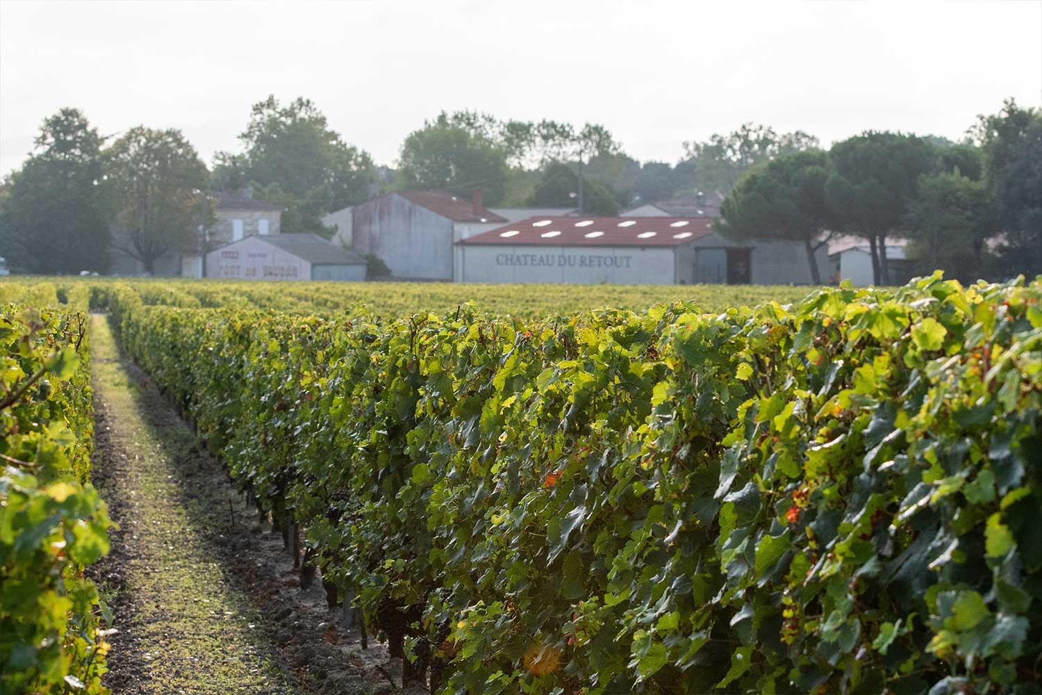 Weingut Du Retout