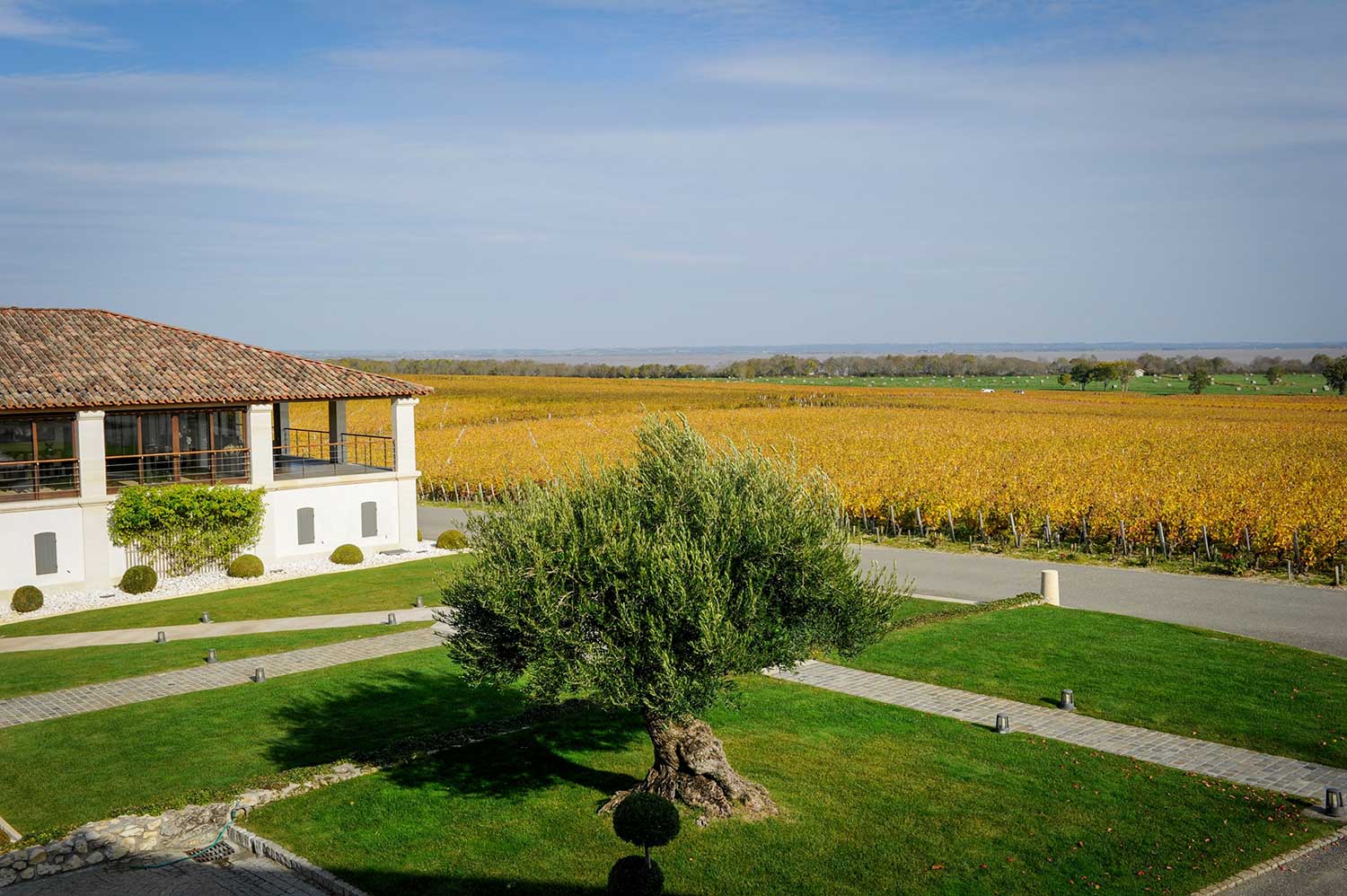 Sociando Mallet Lobenbergs Gute Weine