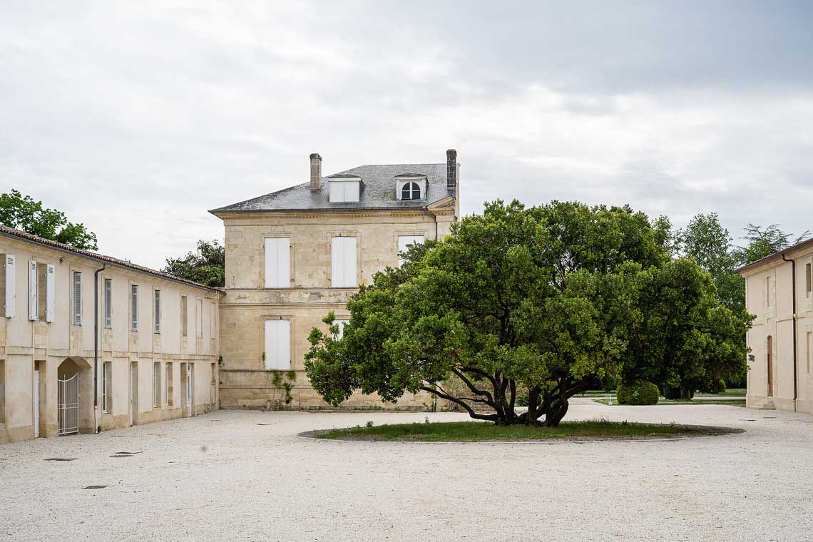 Weingut Mouton Rothschild, Baum und Anwesen