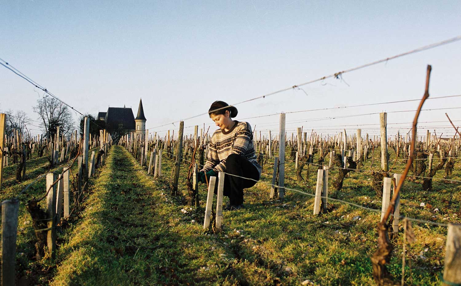 Pichon Longueville Wein