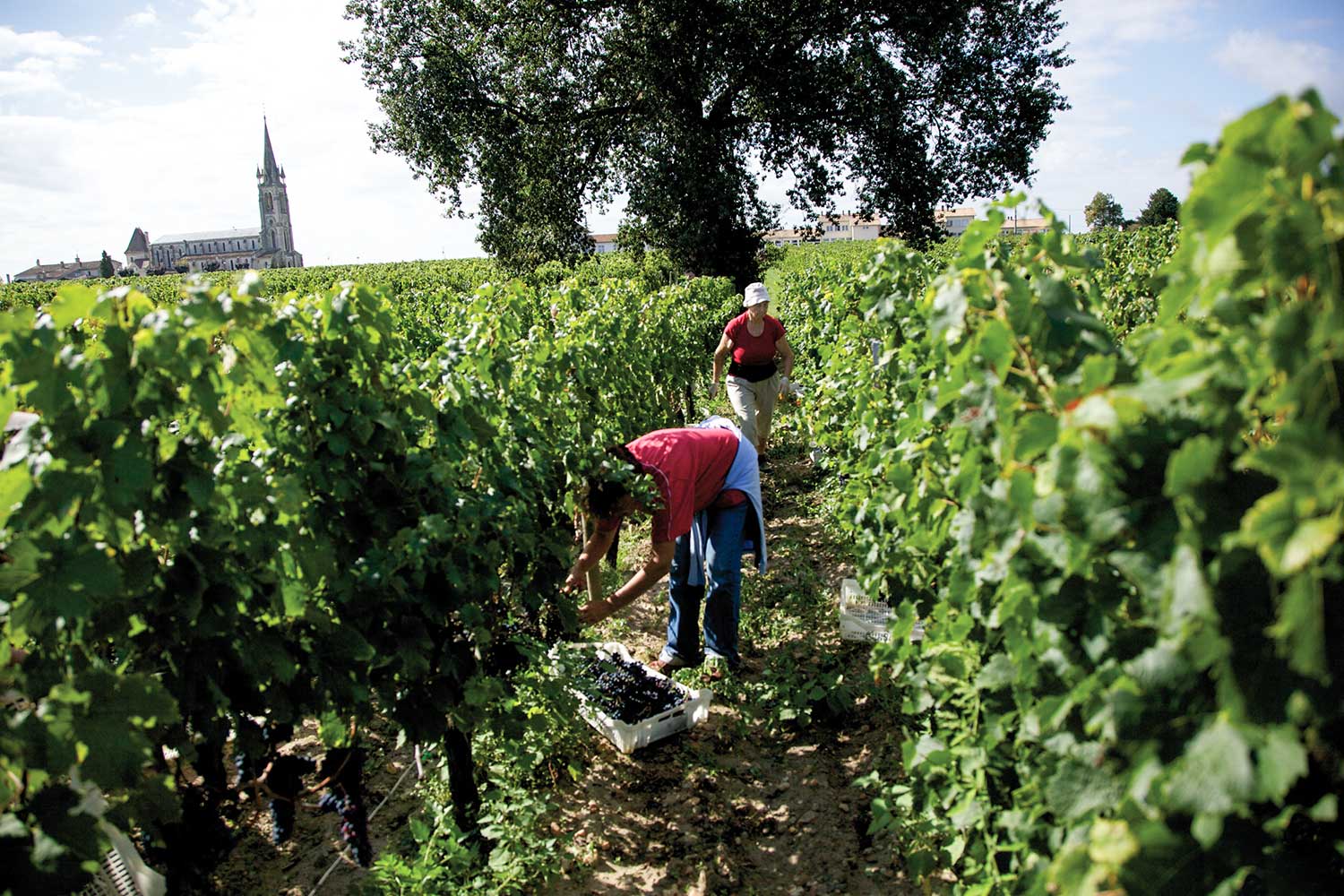 Clos de la Vieille Eglise
