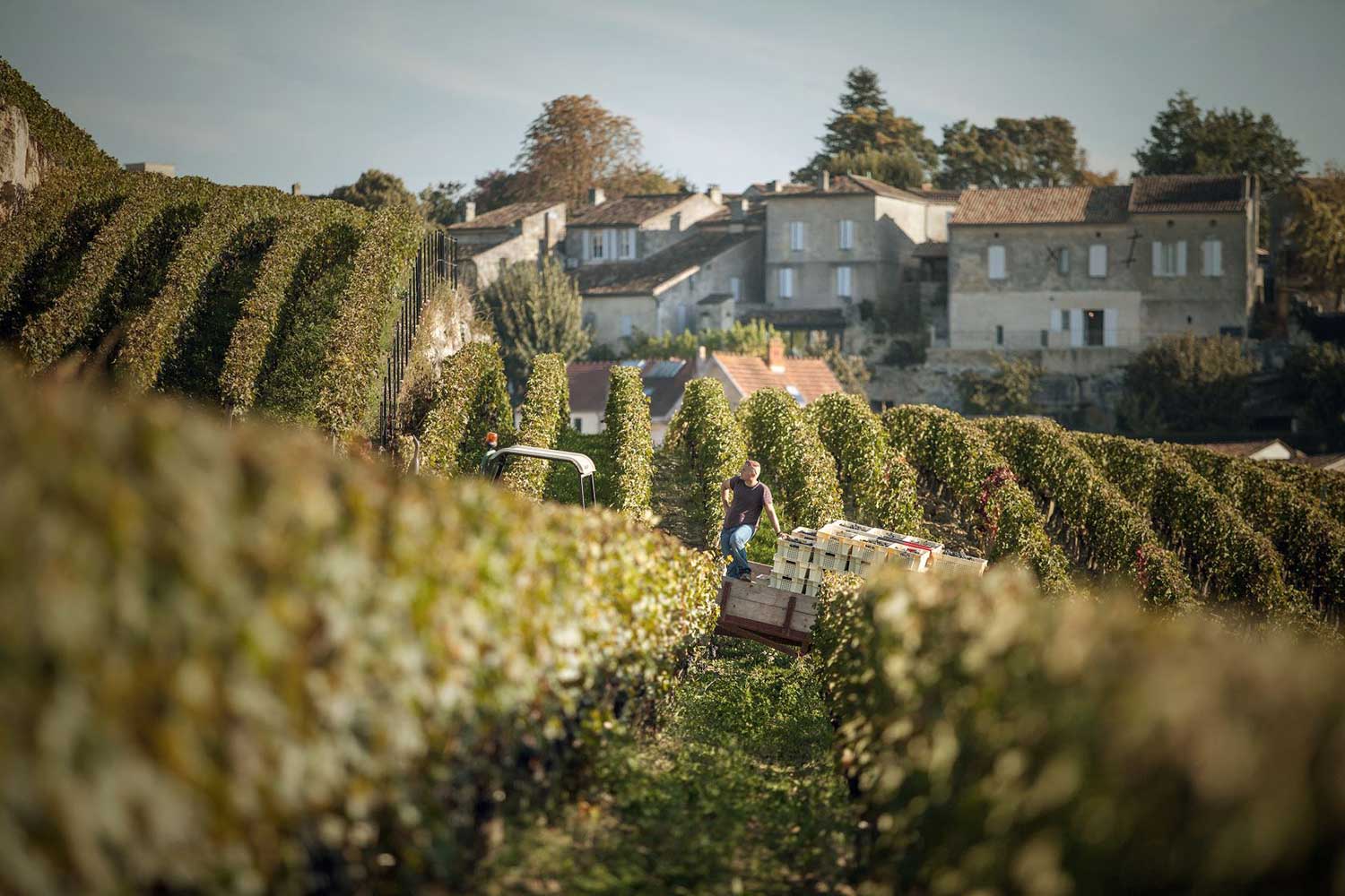 Chateau Ausone Wein