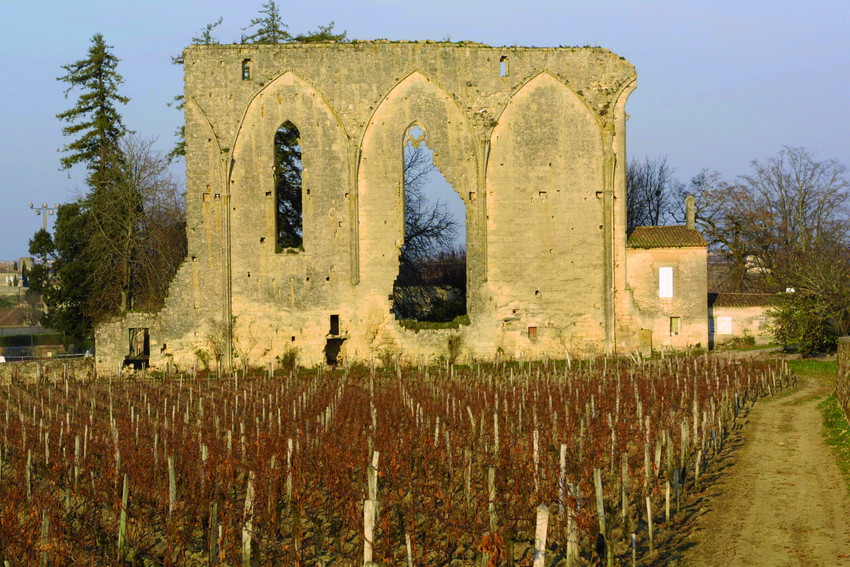 Alte Ruinenmauer in Weinfeld