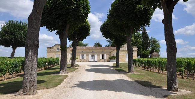 Weingut