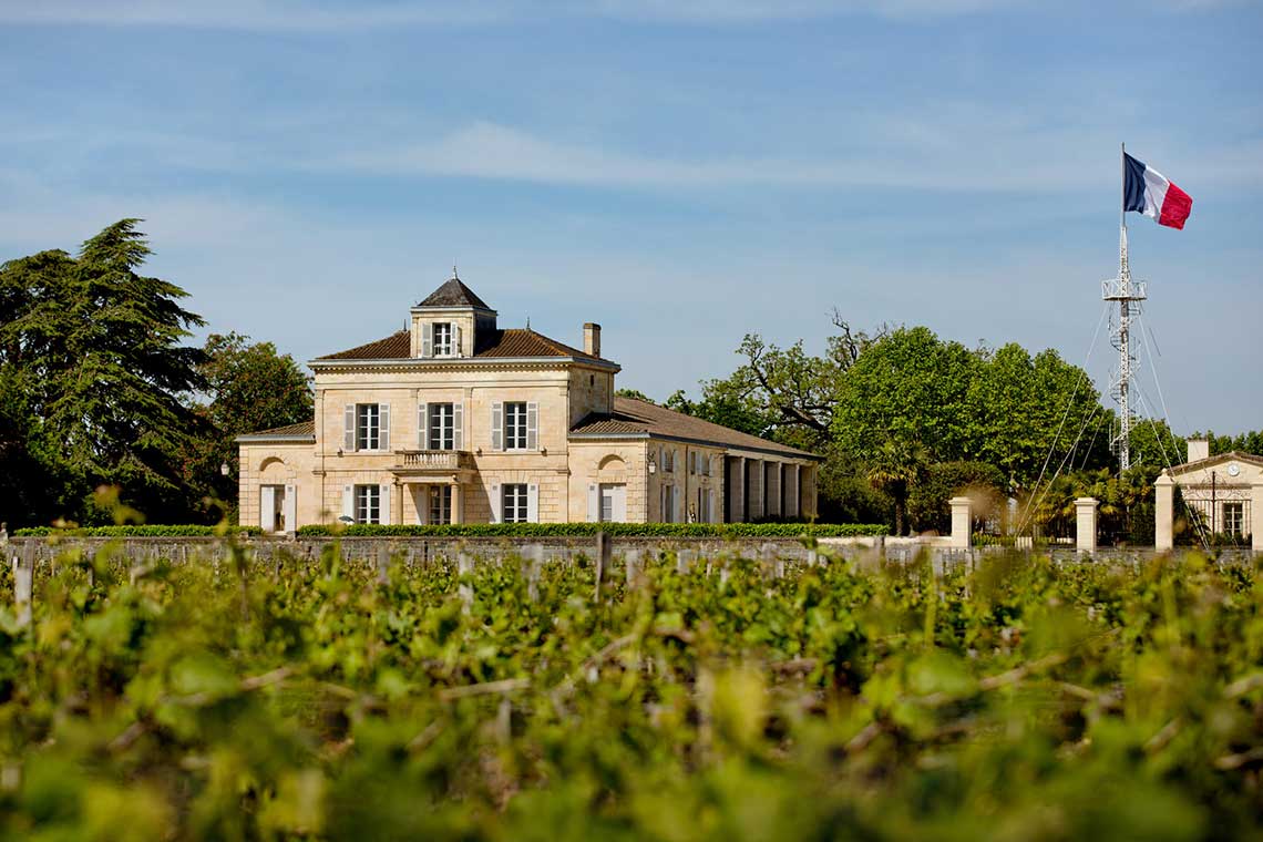 Saint Estephe Wein - Lobenbergs Gute Weine