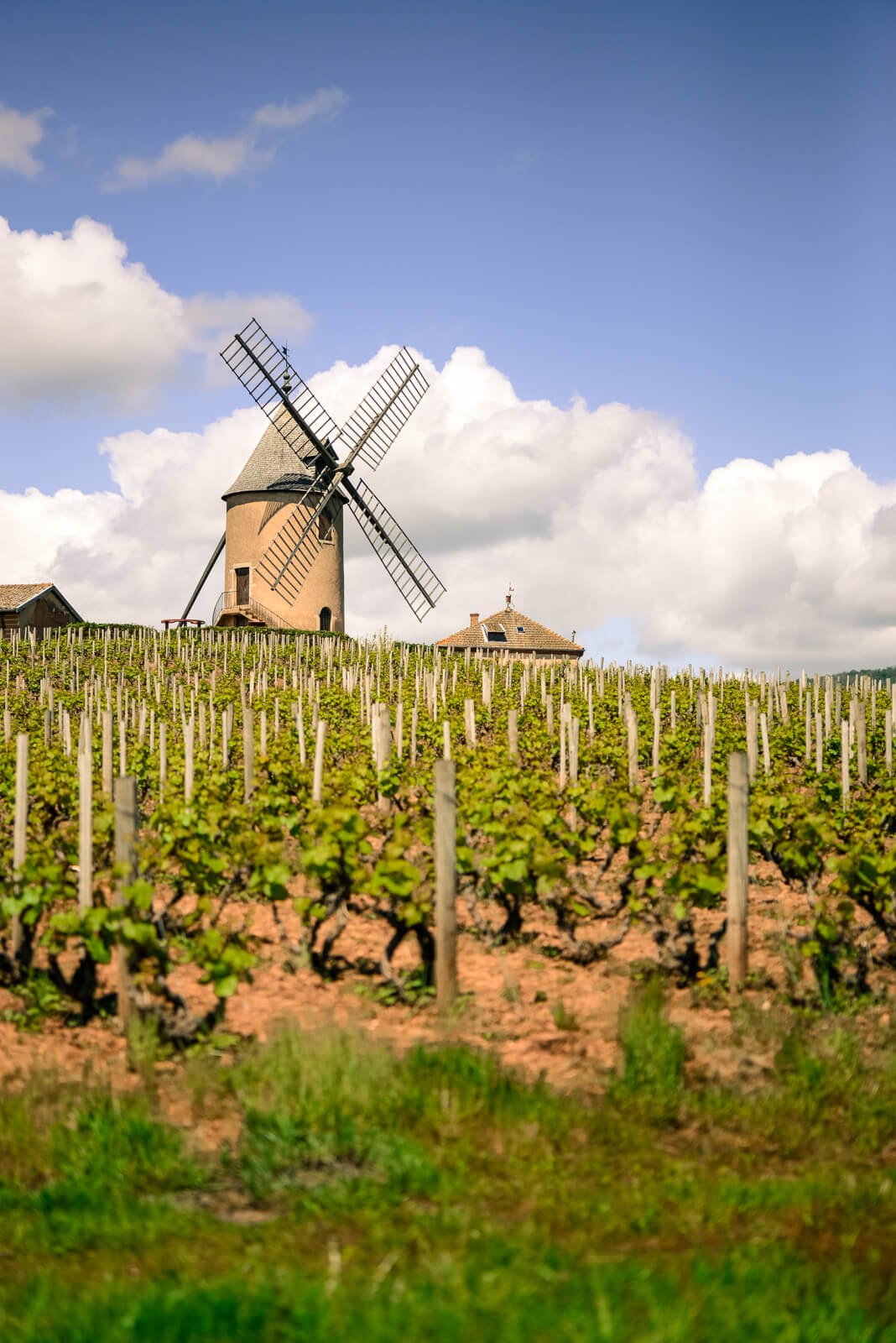 Das Weingut