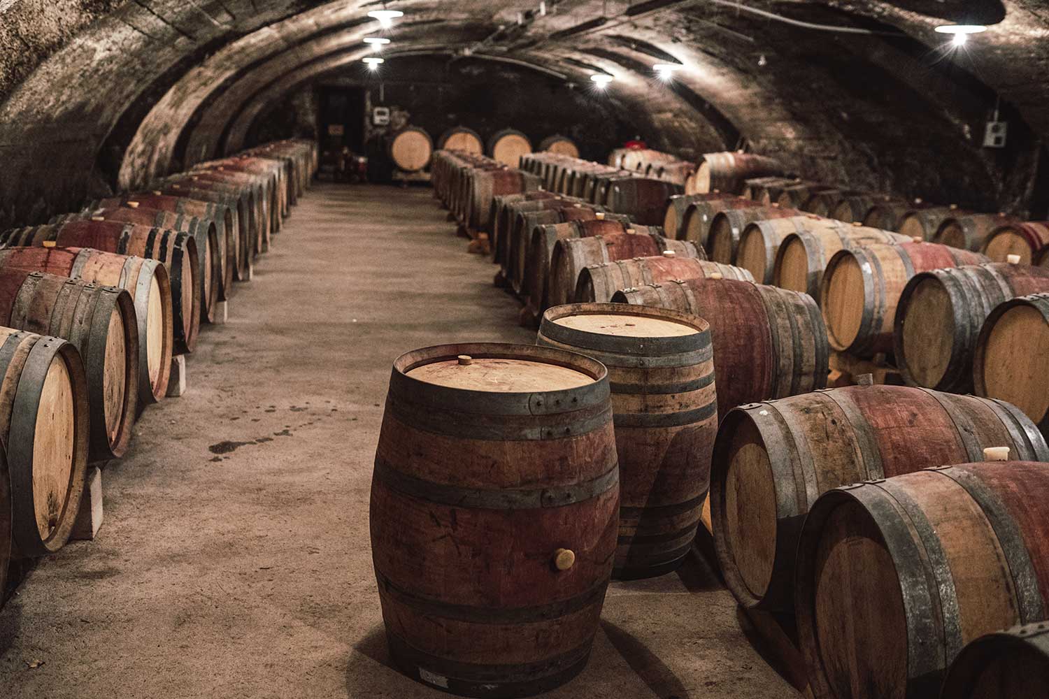 Keller der Domaine de la Grand'Cour Keller der Domaine de la Grand'Cour