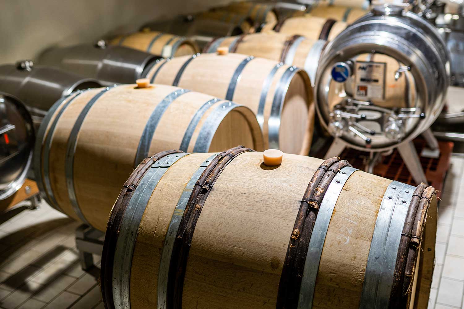 Weinkeller und Weinfässer der Domaine Billaud Simon Weinkeller und Weinfässer der Domaine Billaud Simon