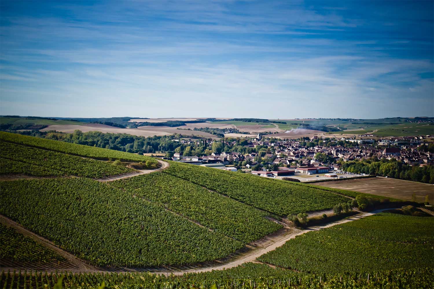 Domaine William Fevres vingård Domaine William Fevres vingård