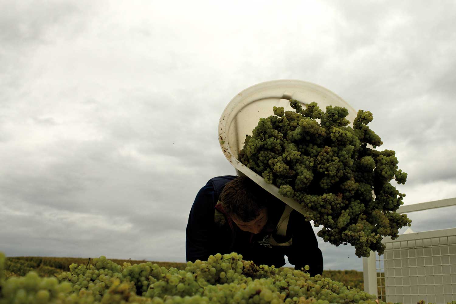 Lese bei Patrick Piuze