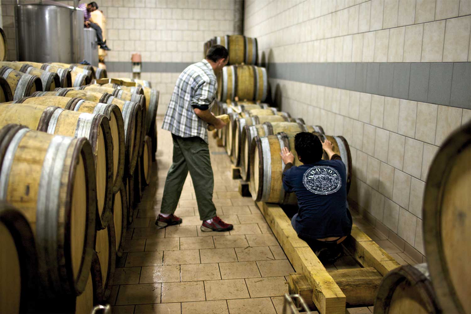 Weinkeller von Patrick Piuze