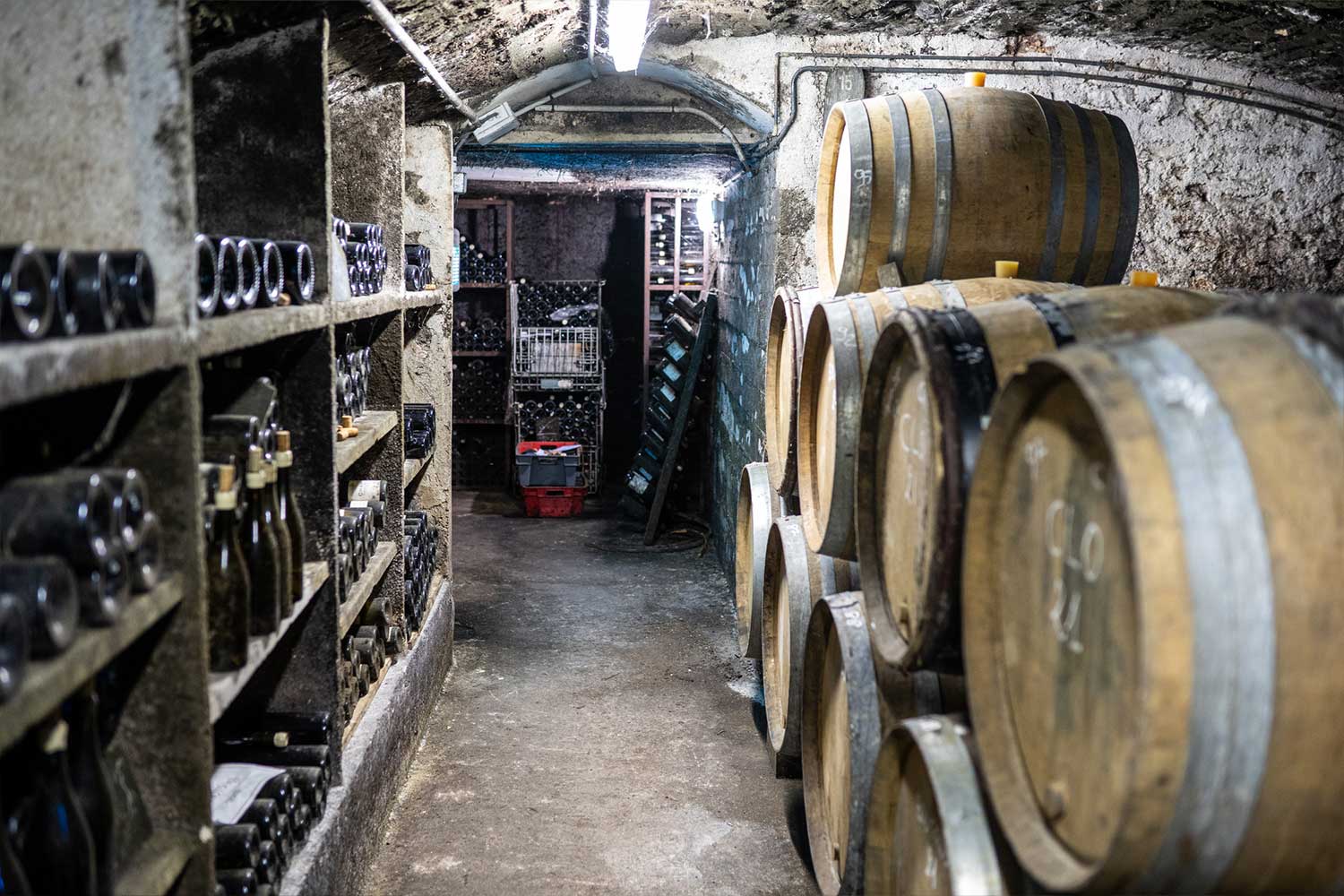 Weinkeller von Patrick Piuze