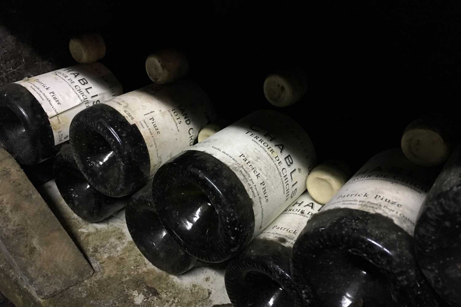 Keller von Patrick Piuze