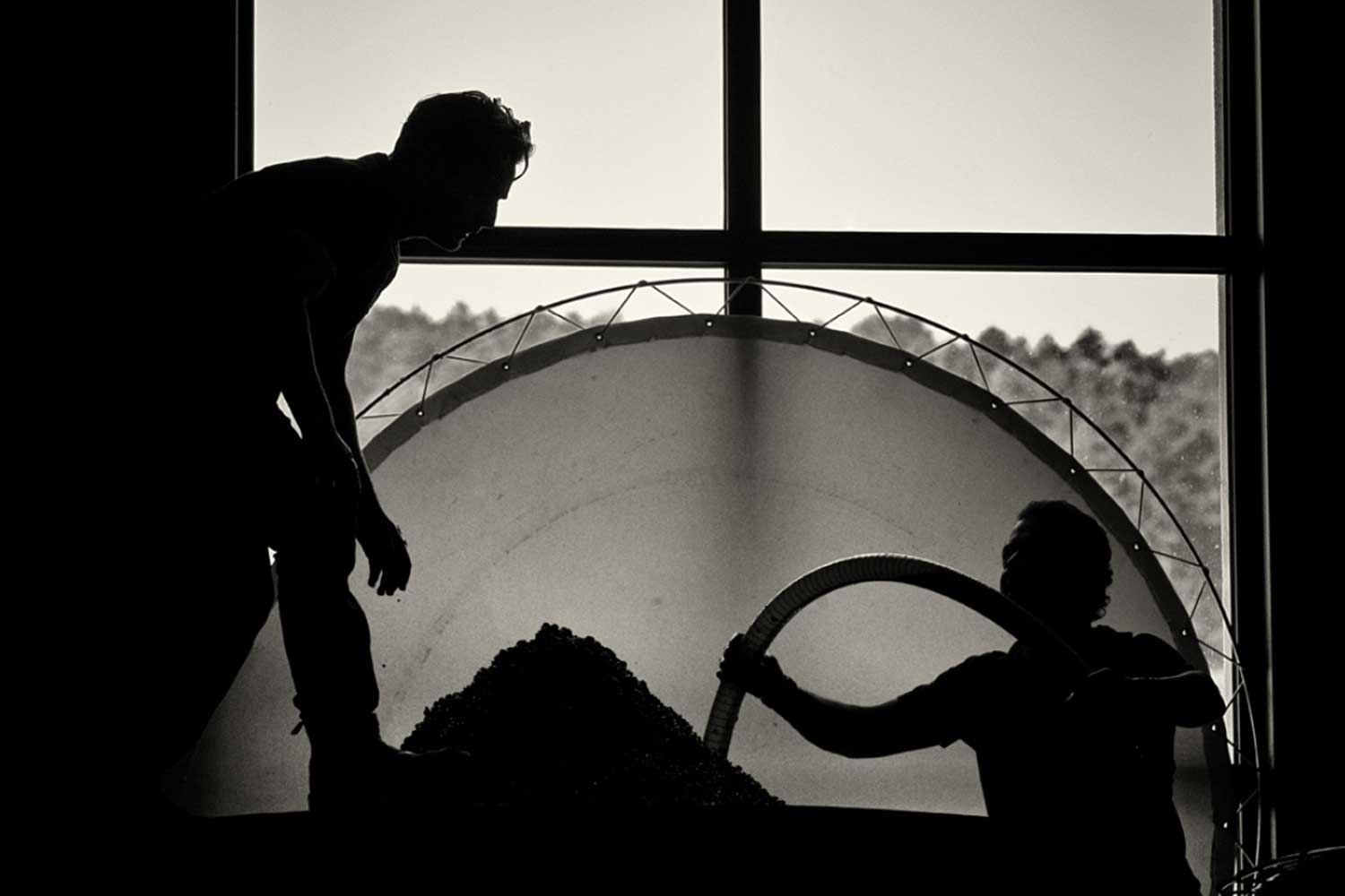 Keller von Denis Mortet Keller von Denis Mortet