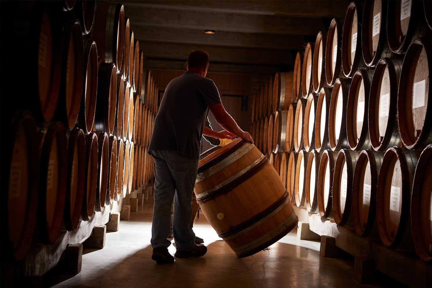 Weinkeller von Domaine Faiveley