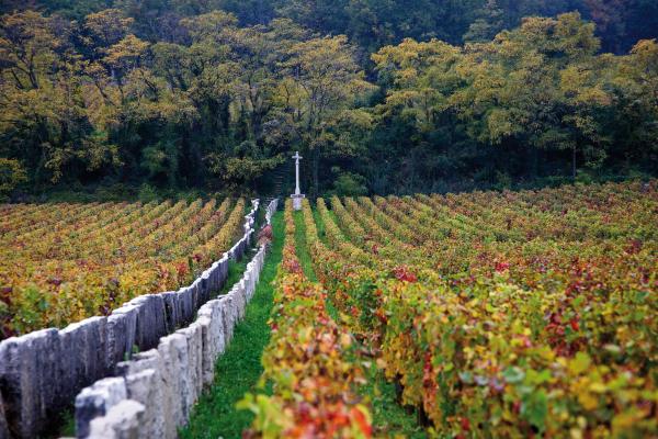 Domaine Prieure Roch