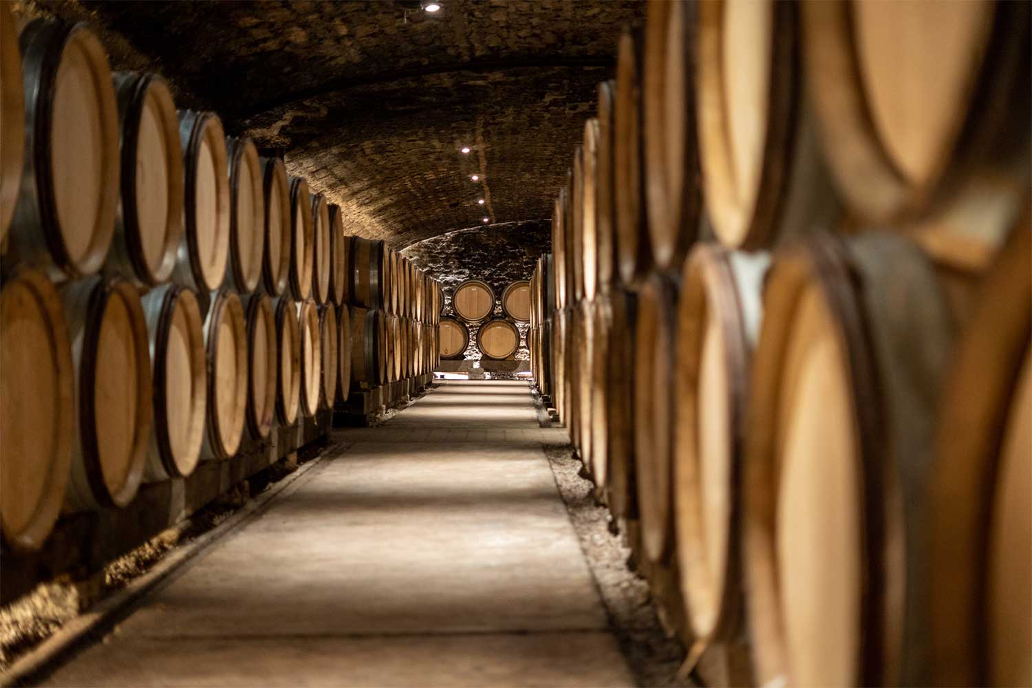 Weinkeller der Domaine Trapet Weinkeller der Domaine Trapet