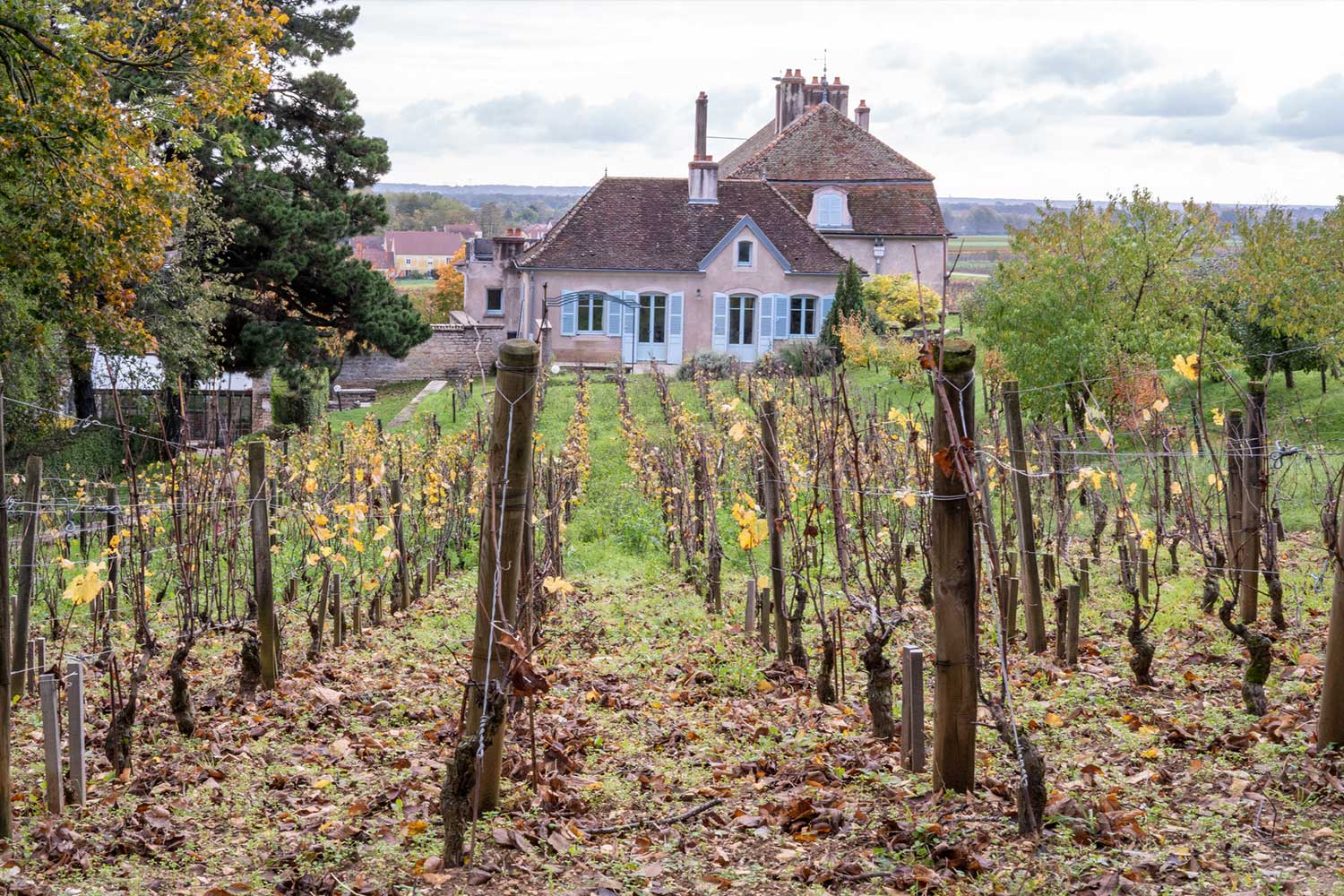 Domaine de L’Arlot