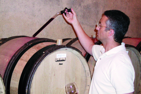 Domaine des Monts Luisants