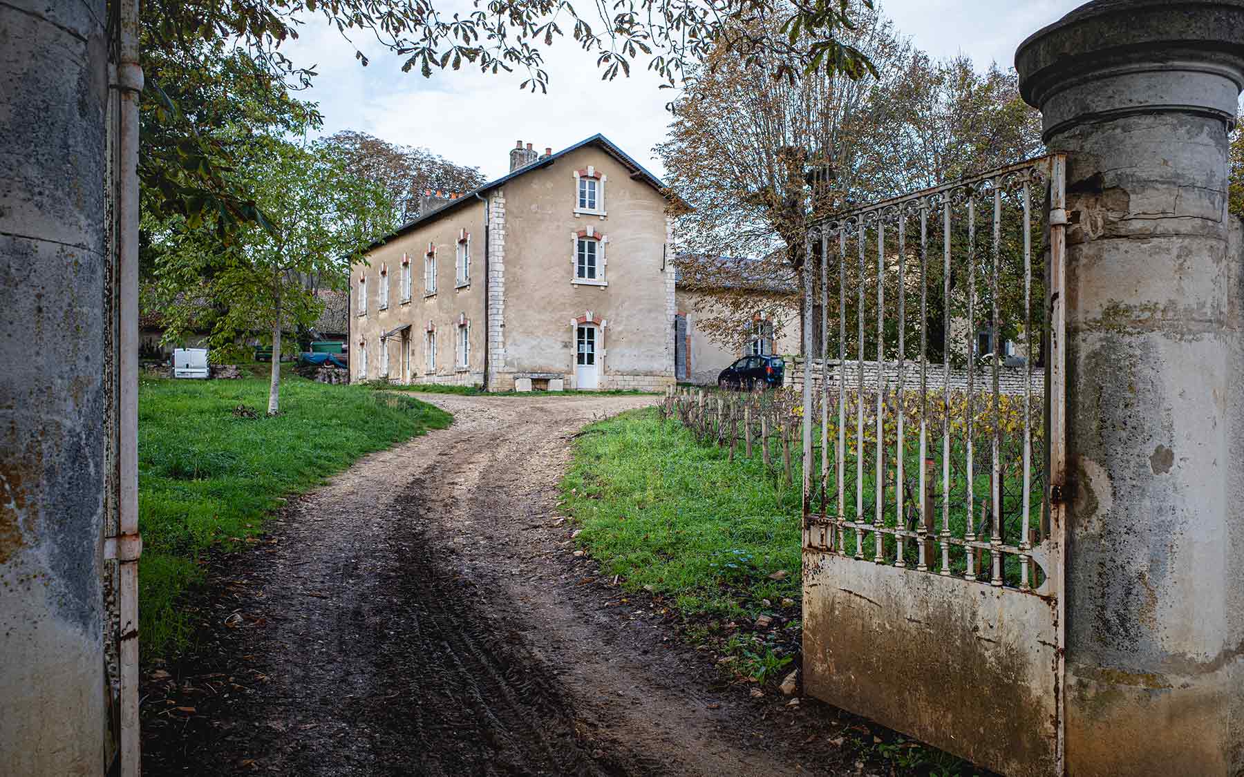 Les Héritiers Saint-Genys Auffahrt zum Weingut