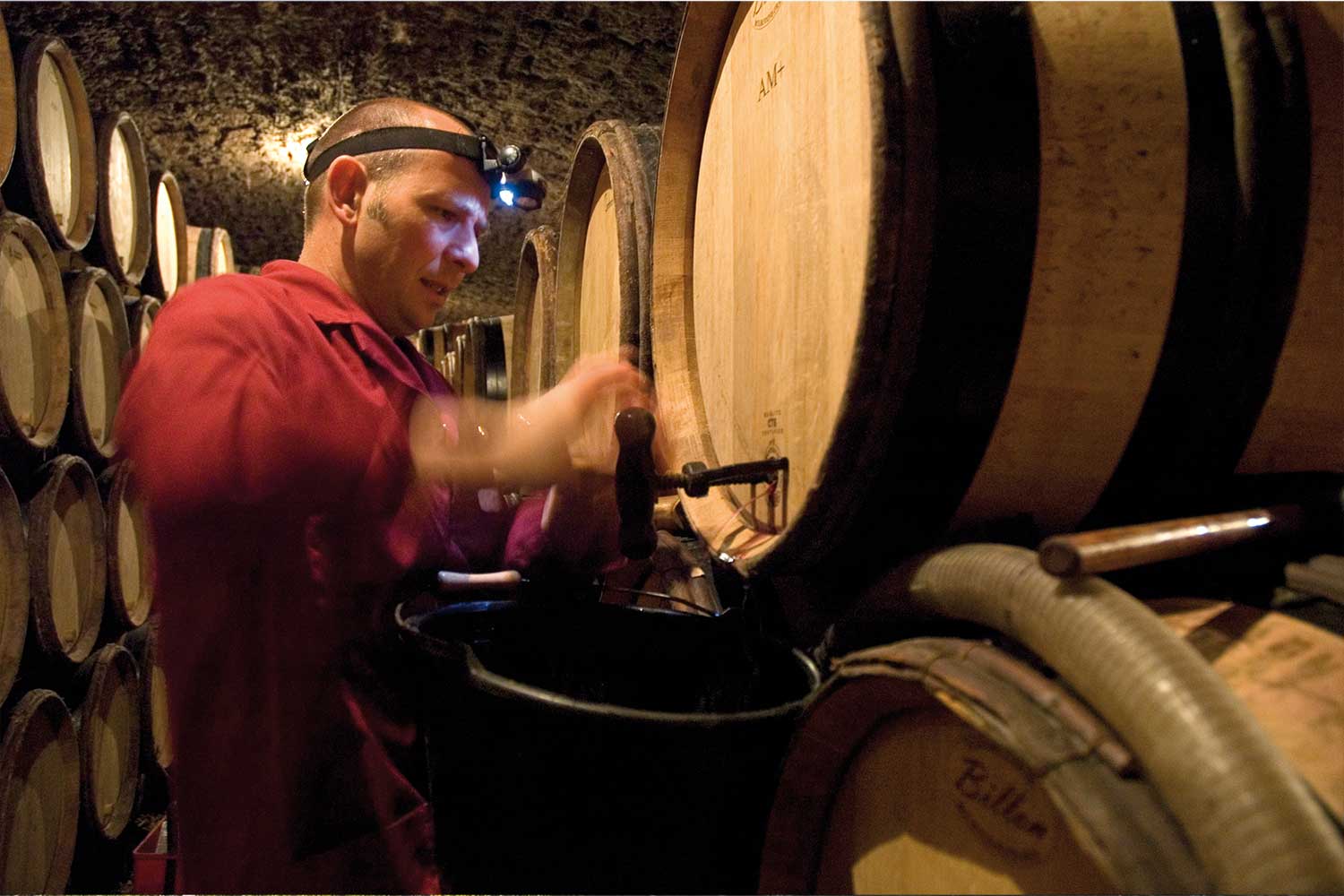 Weinkeller von Marc Morey