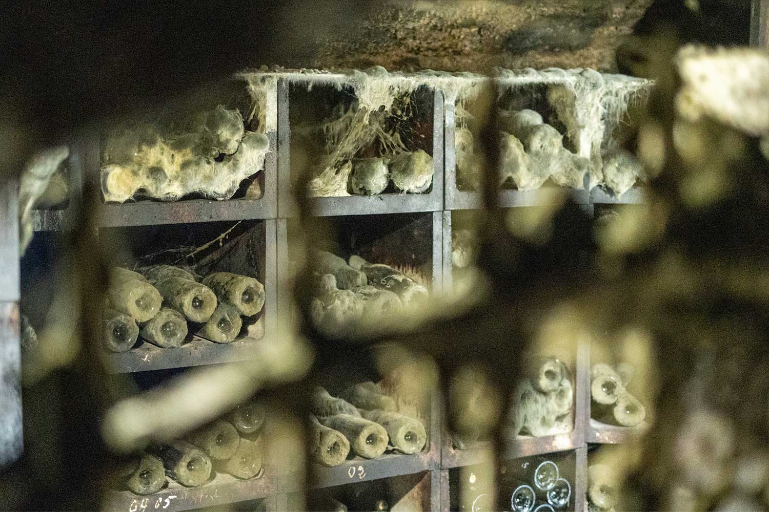 Weinprobe bei Marc Morey