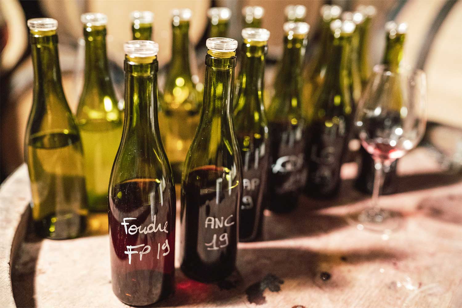 Weinprobe bei Sylvain Pataille