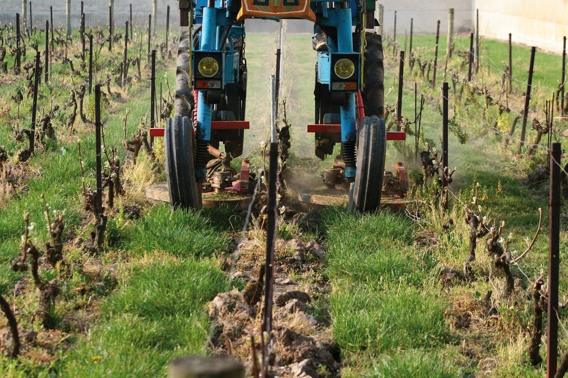 Champagner - Weinanbau, Weinlese