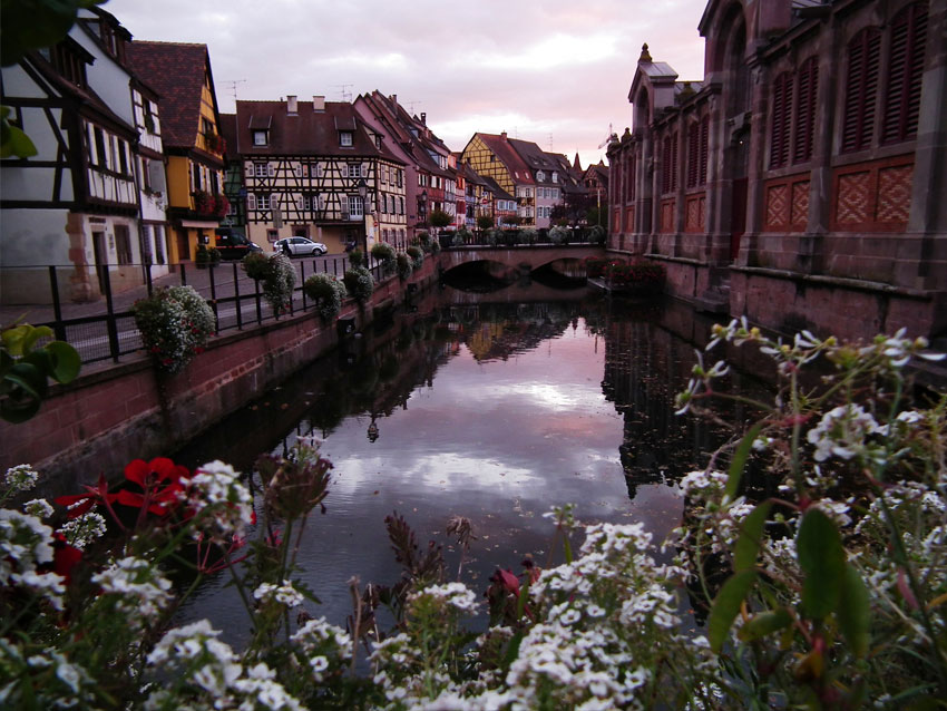 Colmar Elsas