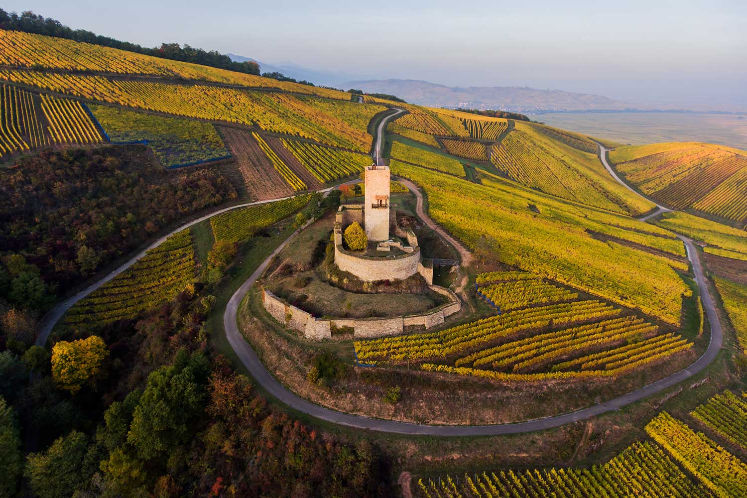 Elsass Weinberg