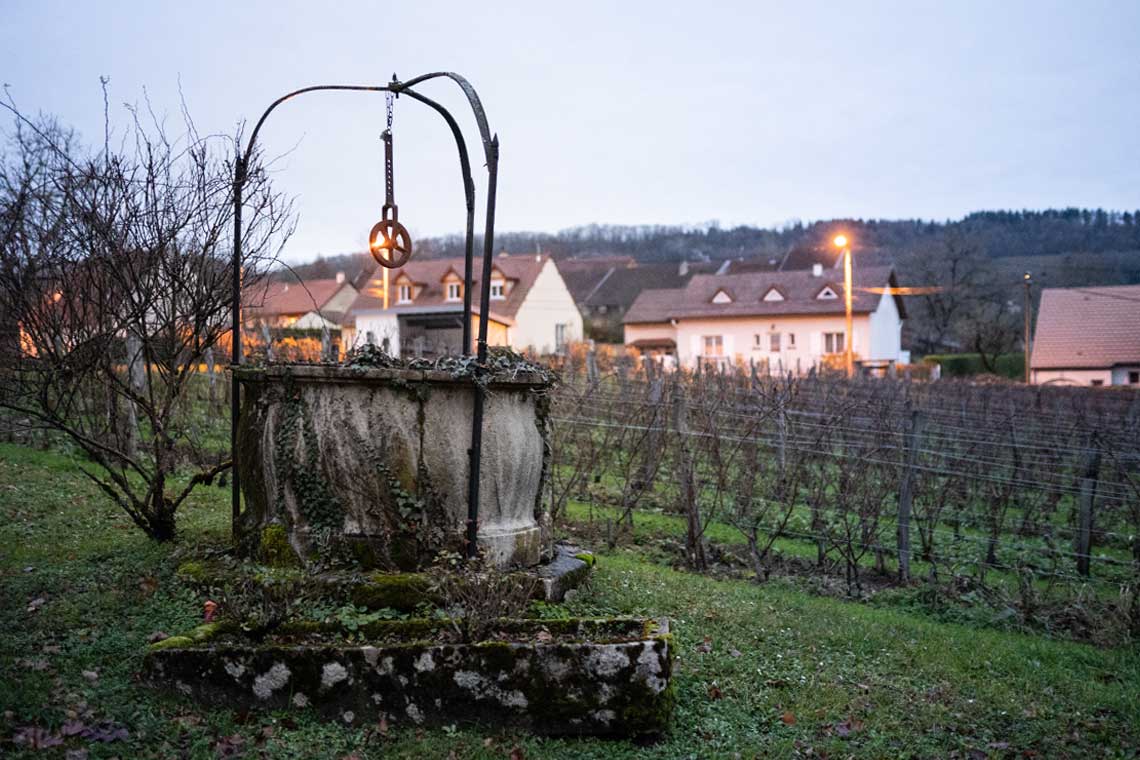Brunnen und Weinfeld des Weinguts Montbourgeau