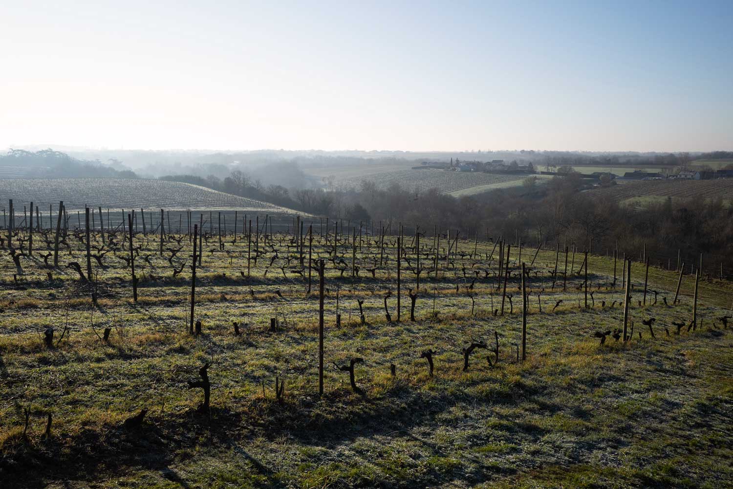 Domaine Baumard