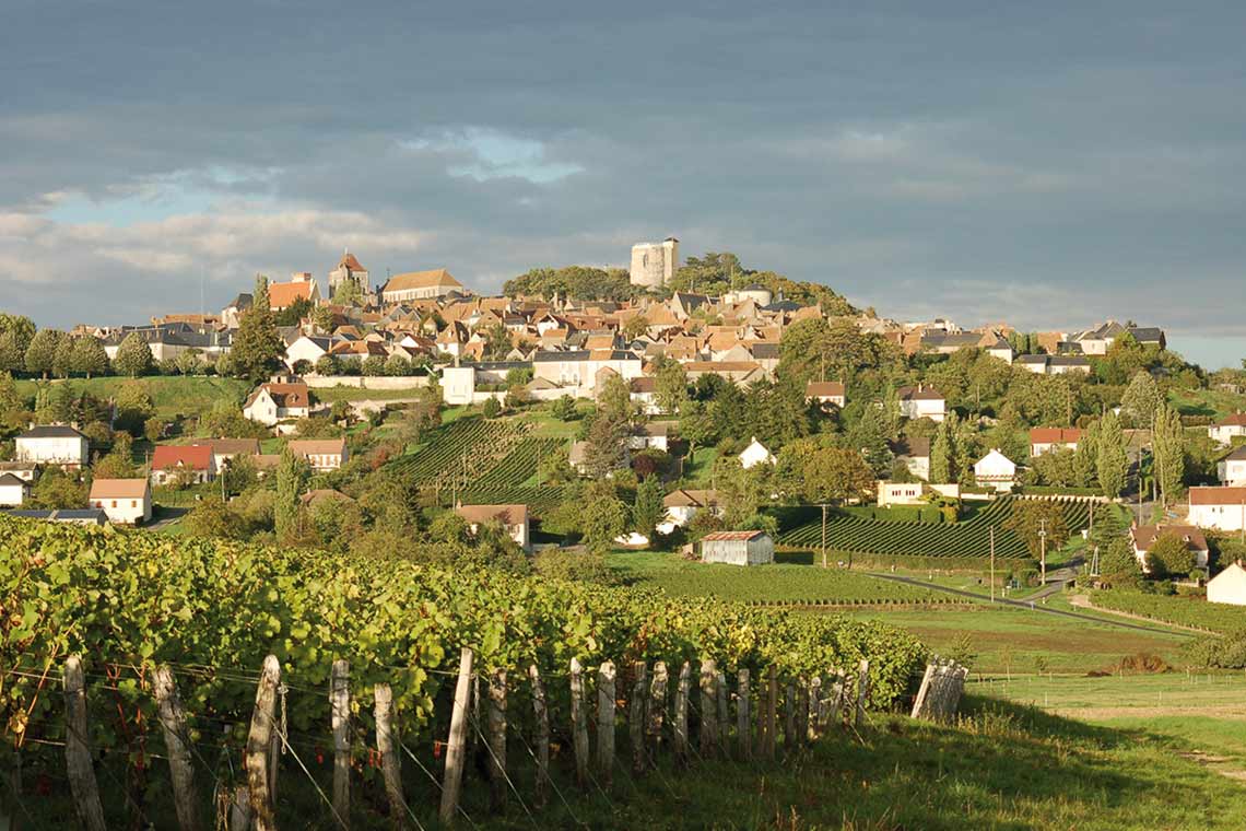 Weinberg mit Blick auf die Stadt Domaine Vacheron