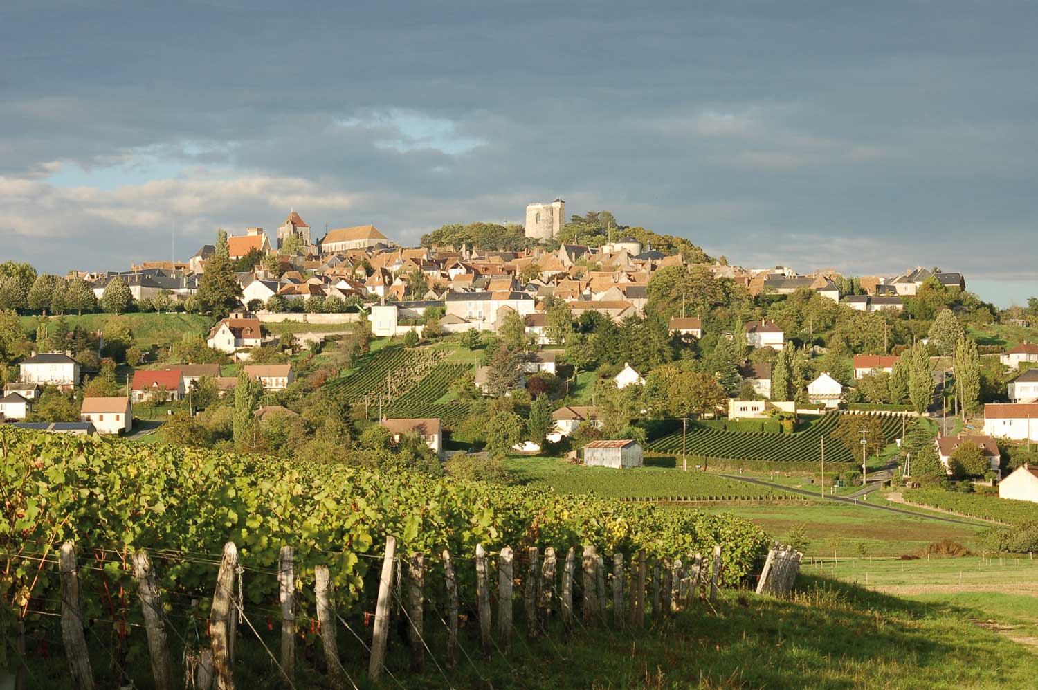 Sancerre Weinberge mit Blick auf Dorf auf Hügel
