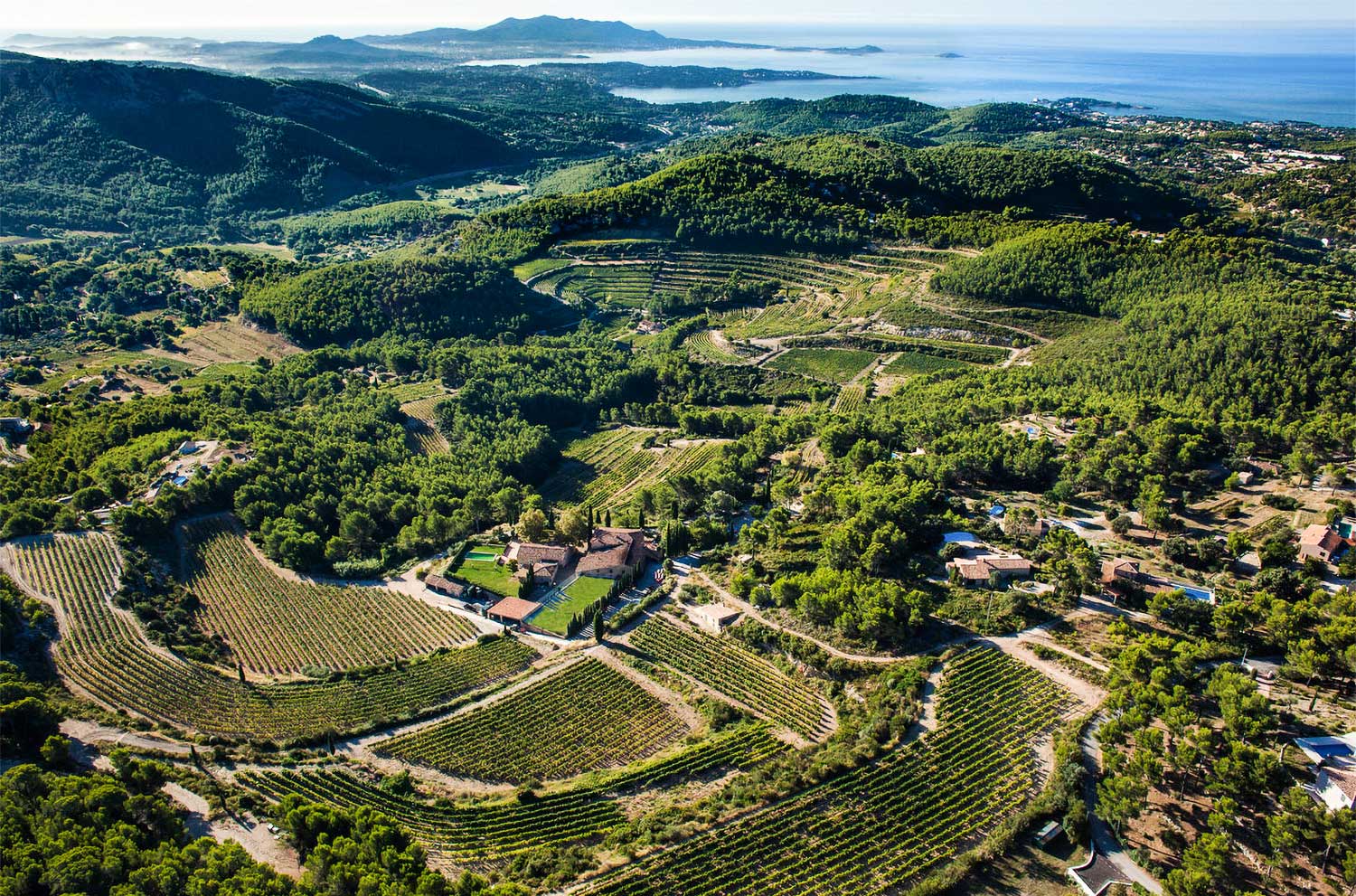 Weingut, Weinberge, Weinfelder Pibarnon