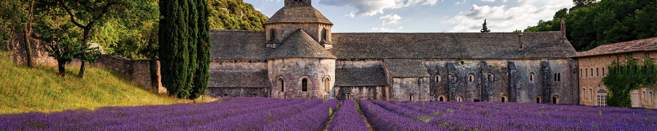 Weingut in der Provence