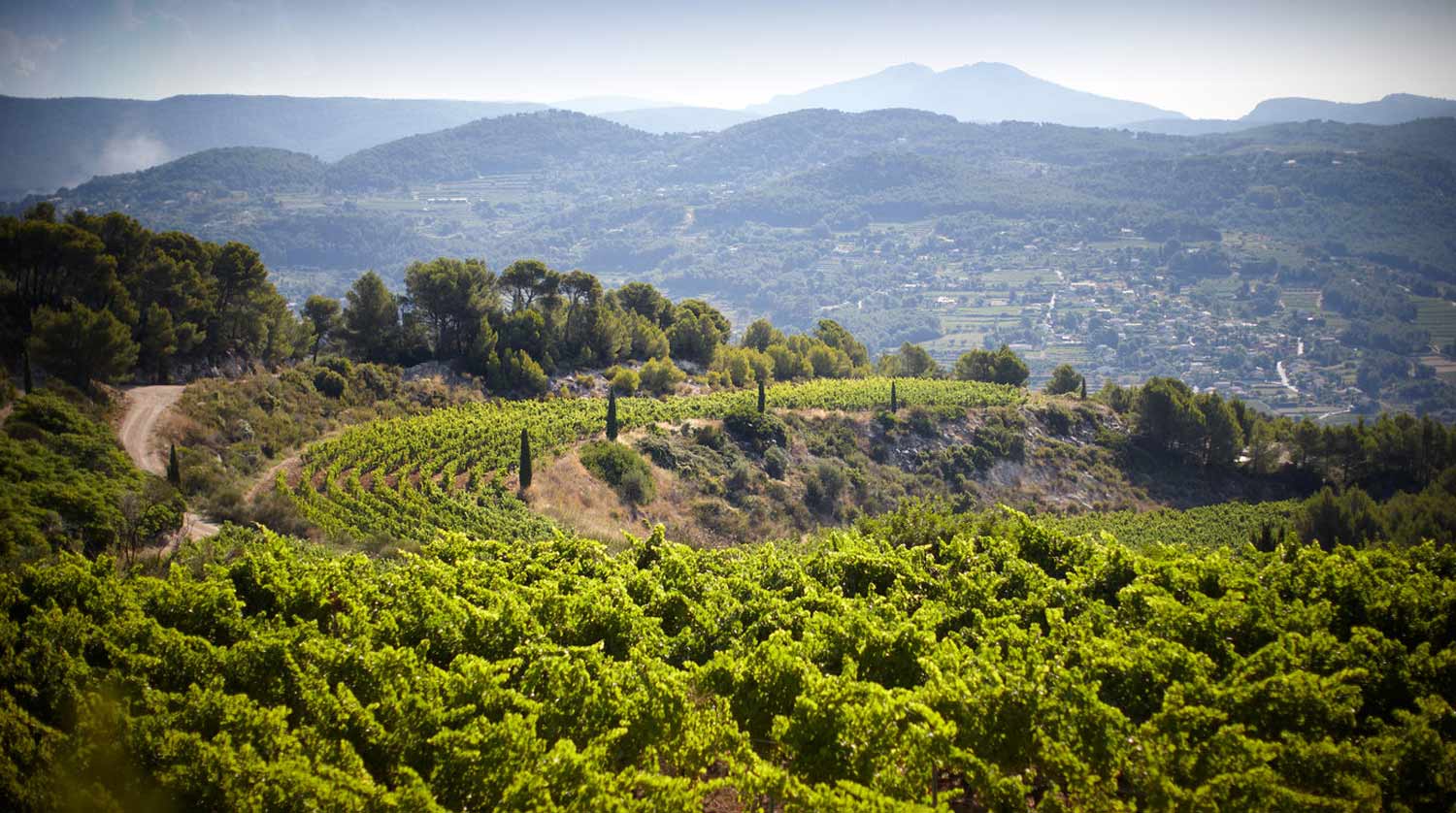 Schöne Landschaft in der Provence