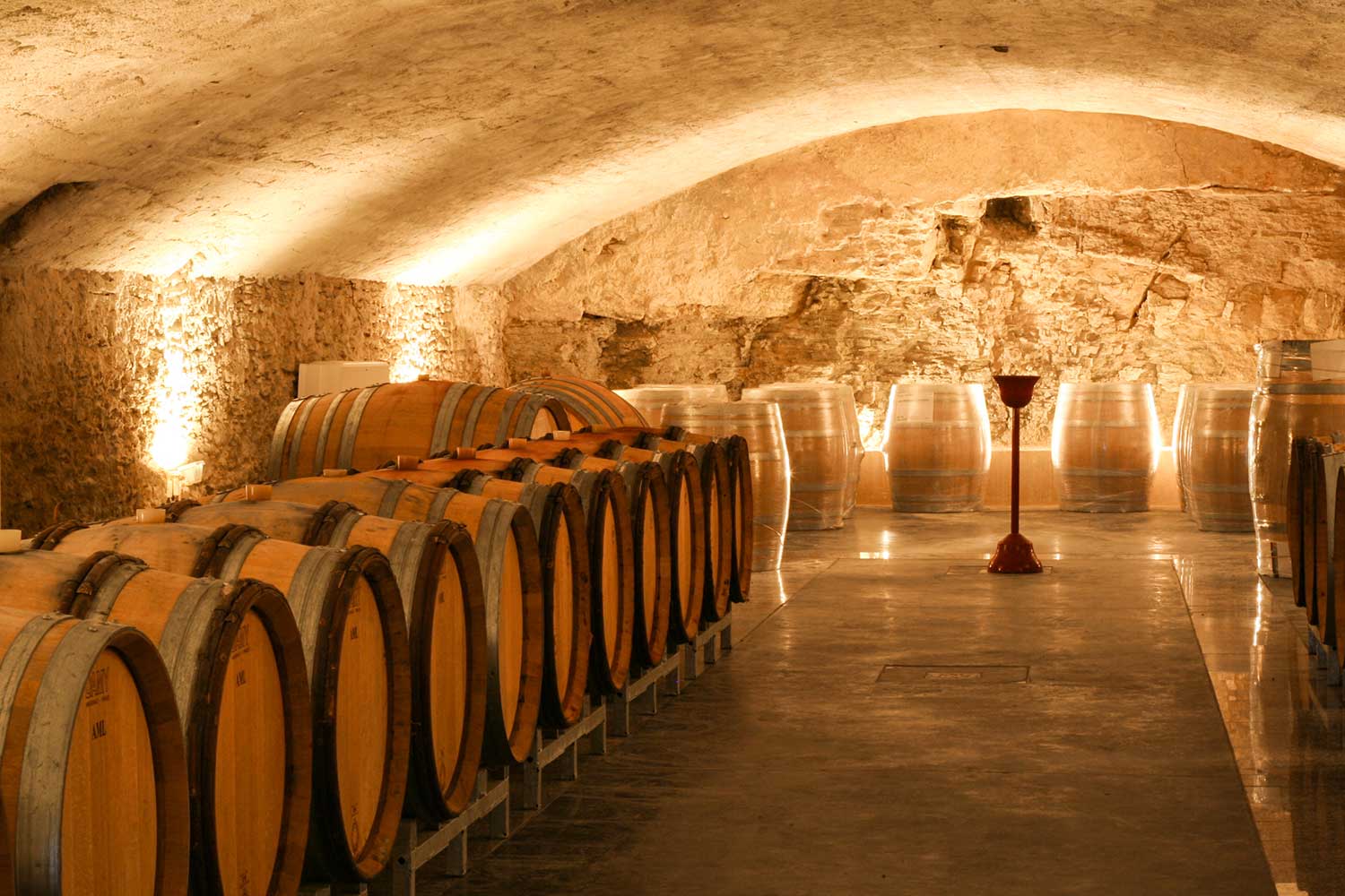 Weinkeller und Weinfässer vom Chateau de Vaudieu
