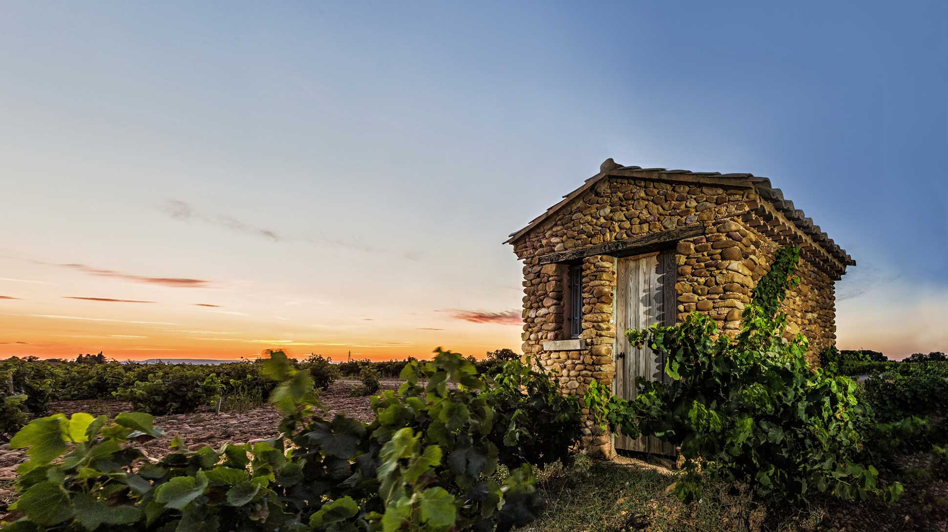 Chateauneuf du Pape - Perrin / Beaucastel Chateauneuf du Pape - Perrin / Beaucastel