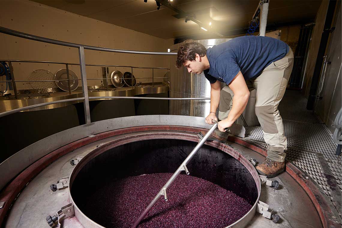 Domaine Clos du Caillou Trauben