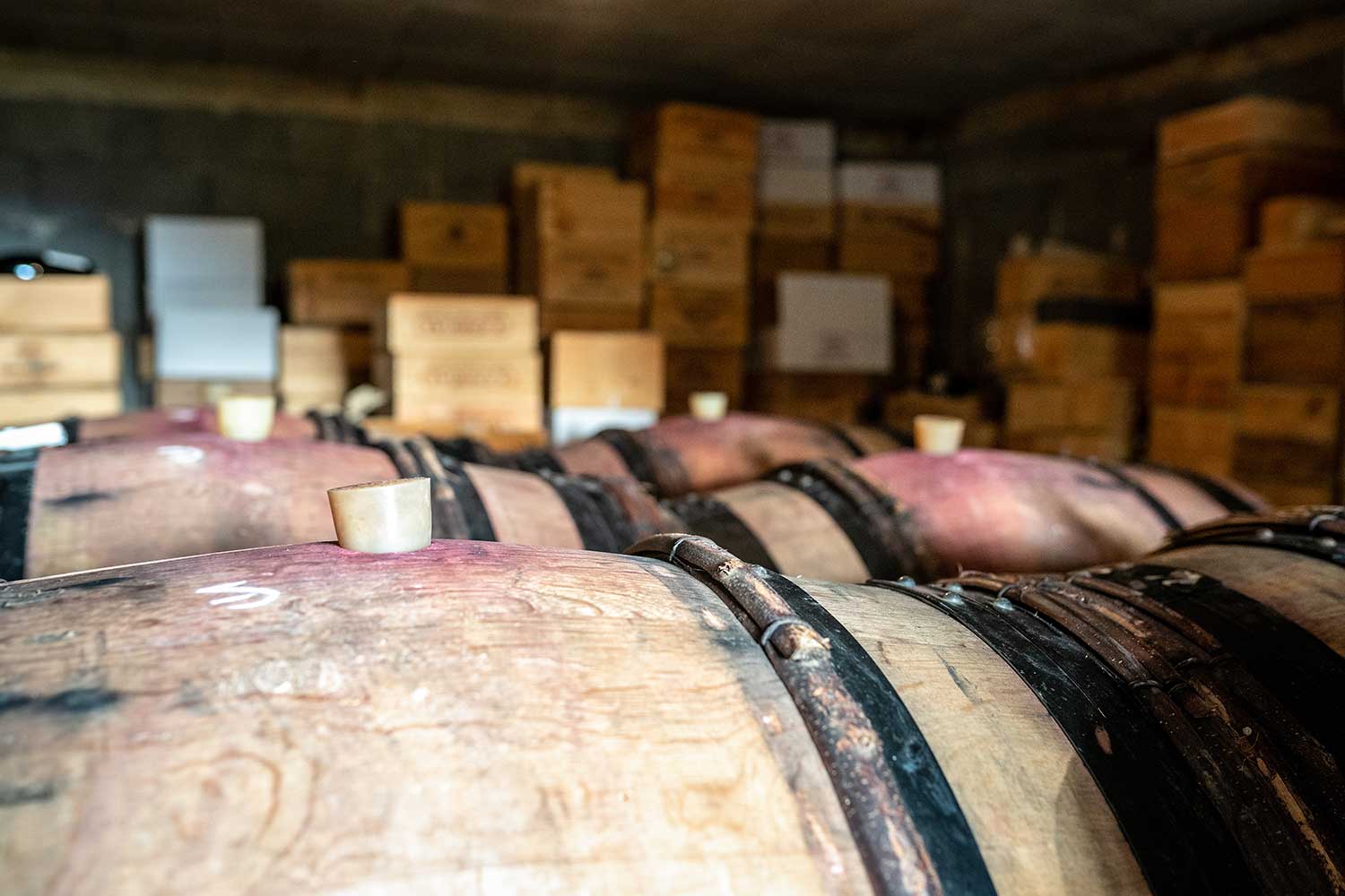 Weinkeller Domaine Definitely Red, Weinfässer Weinkeller Domaine Definitely Red, Weinfässer