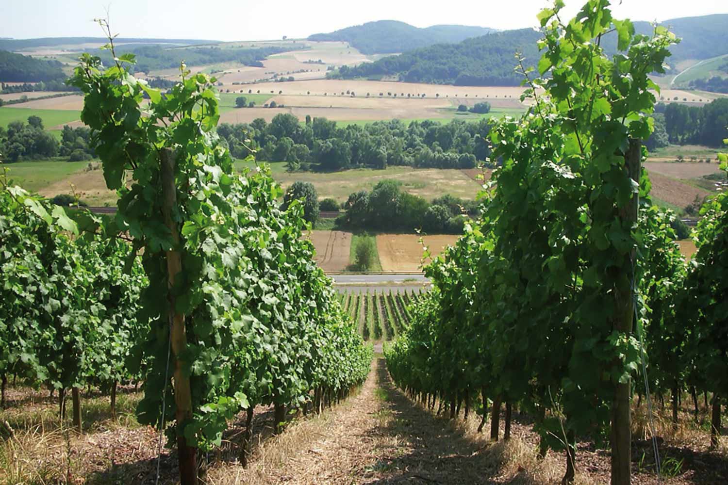 Weinberg