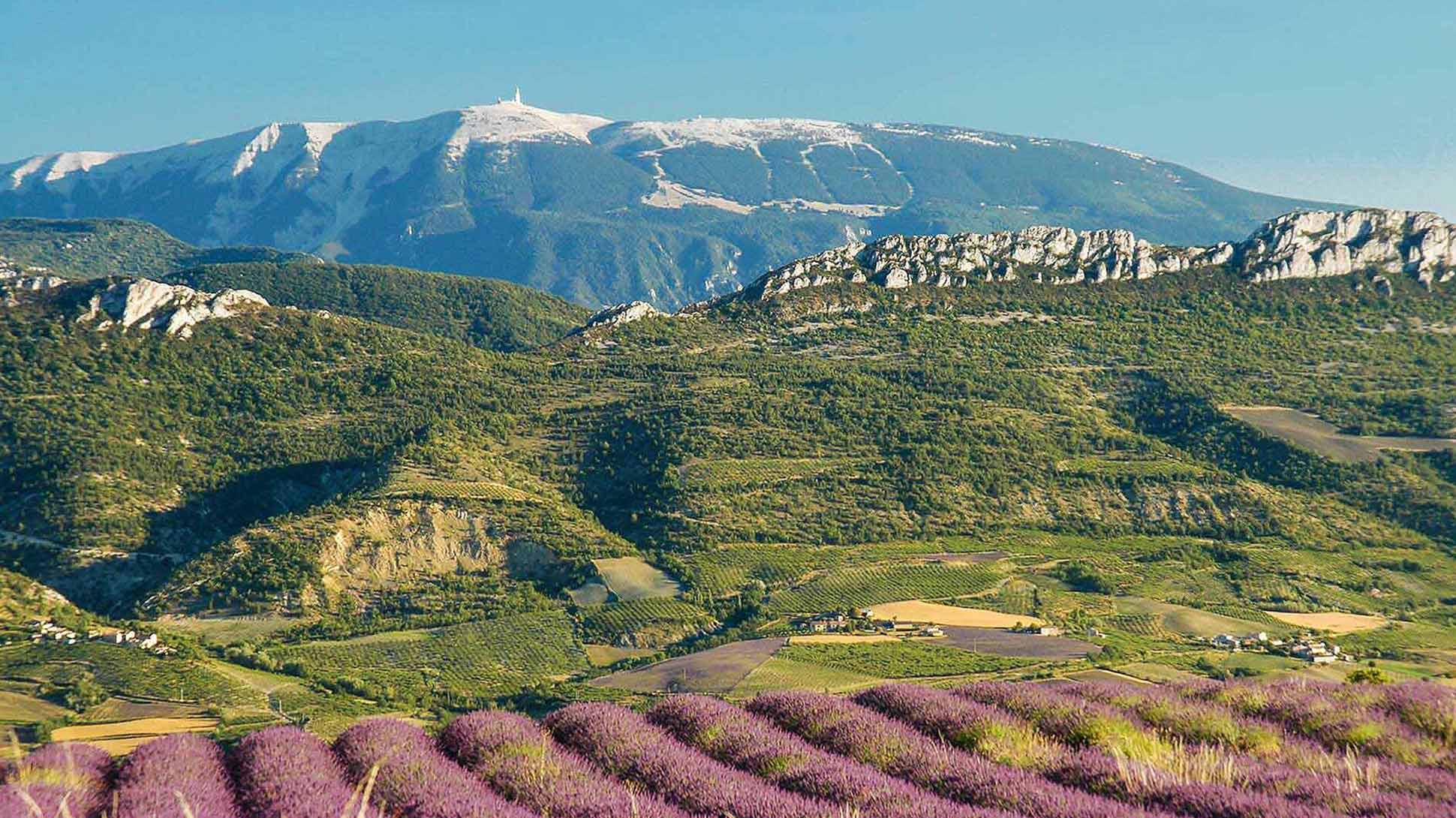 Weinregion Cotes du Ventoux