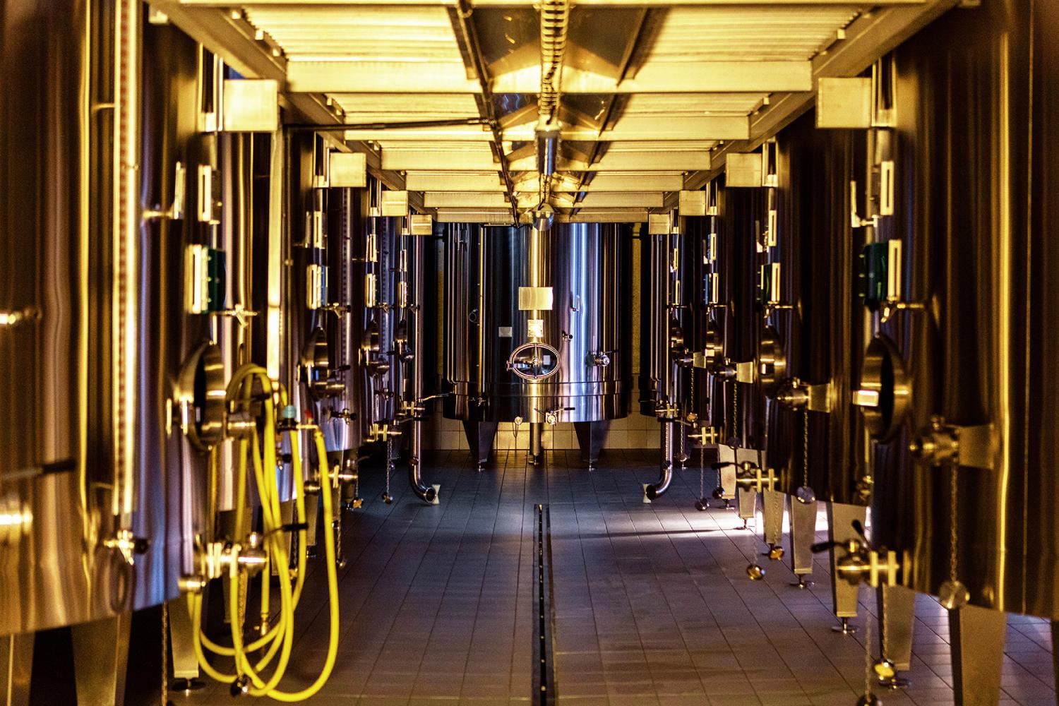 Chassenay D'Arce metaltanke i kælderen