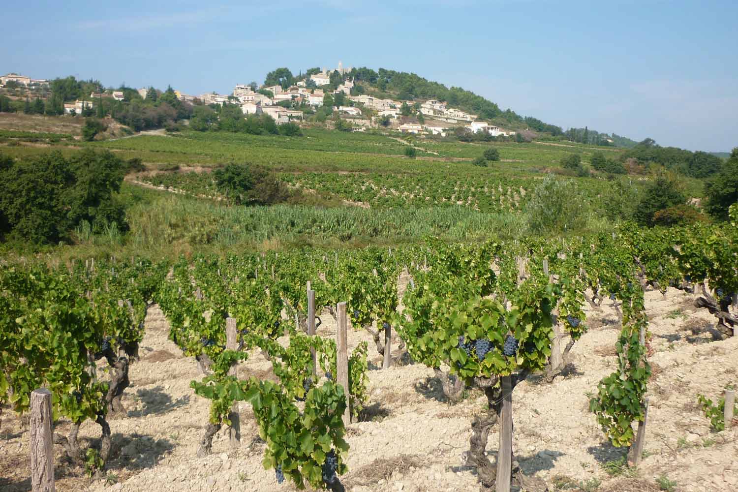 Vinmark Domaine Gourt de Mautens