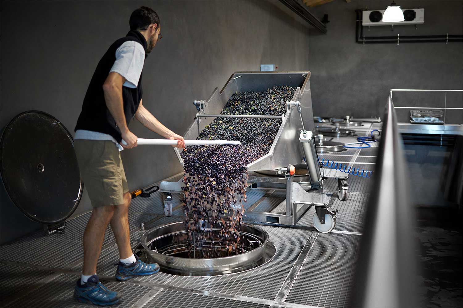 Arbeit im Weinkeller bei Domaine Santa Duc