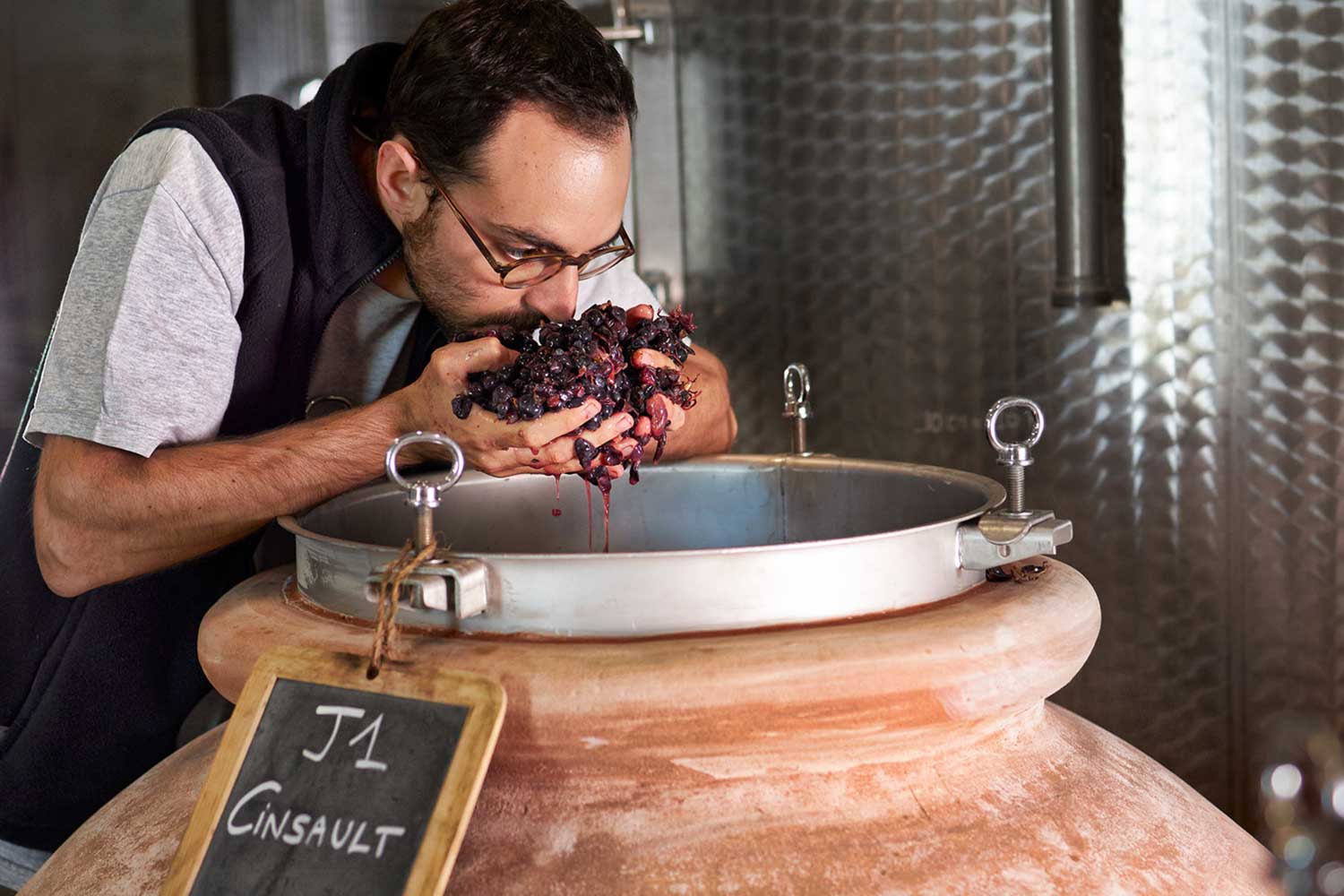 Arbeit im Weinkeller bei Domaine Santa Duc
