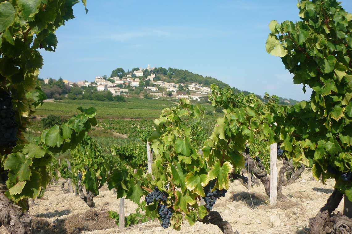 Gigondas