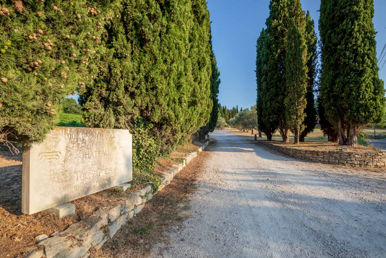 Blick in die Einfahrt vom Weingut